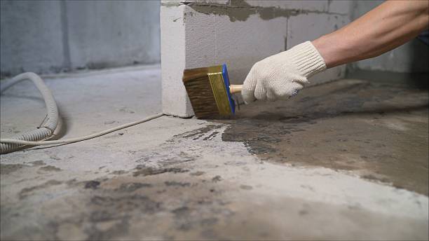 SJ Waterproofing Pros Basement Waterproofing coverage map for Windsor, NC and surrounding area